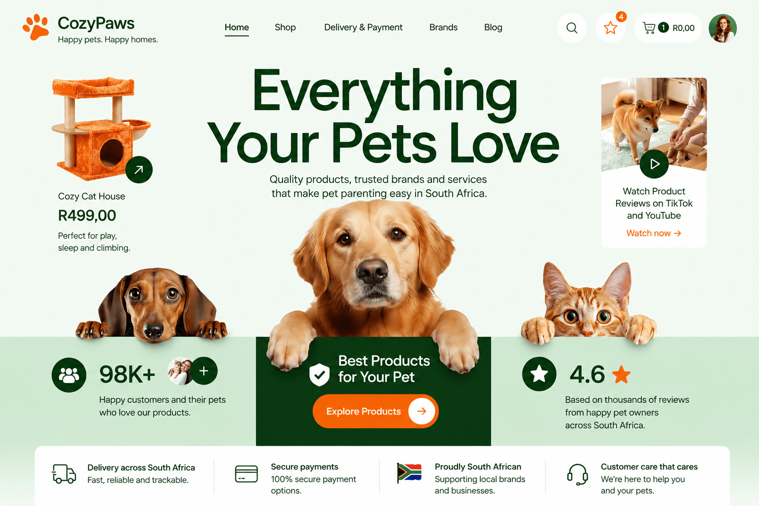 First example of a professional business website